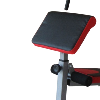 DFC HomeGym D7001 Силовые тренажеры #3