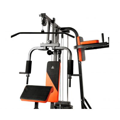 DFC HomeGym D7002 Силовые тренажеры #3