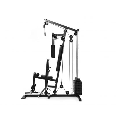 DFC HomeGym D7010 Силовые тренажеры #2