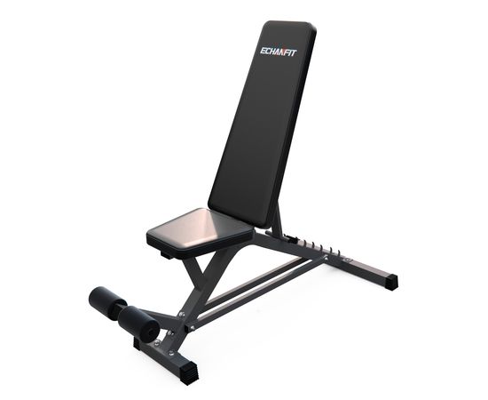 DFC ECHANFIT HOMEGYM D32 Гиперэкстензии, скамьи, стойки #1